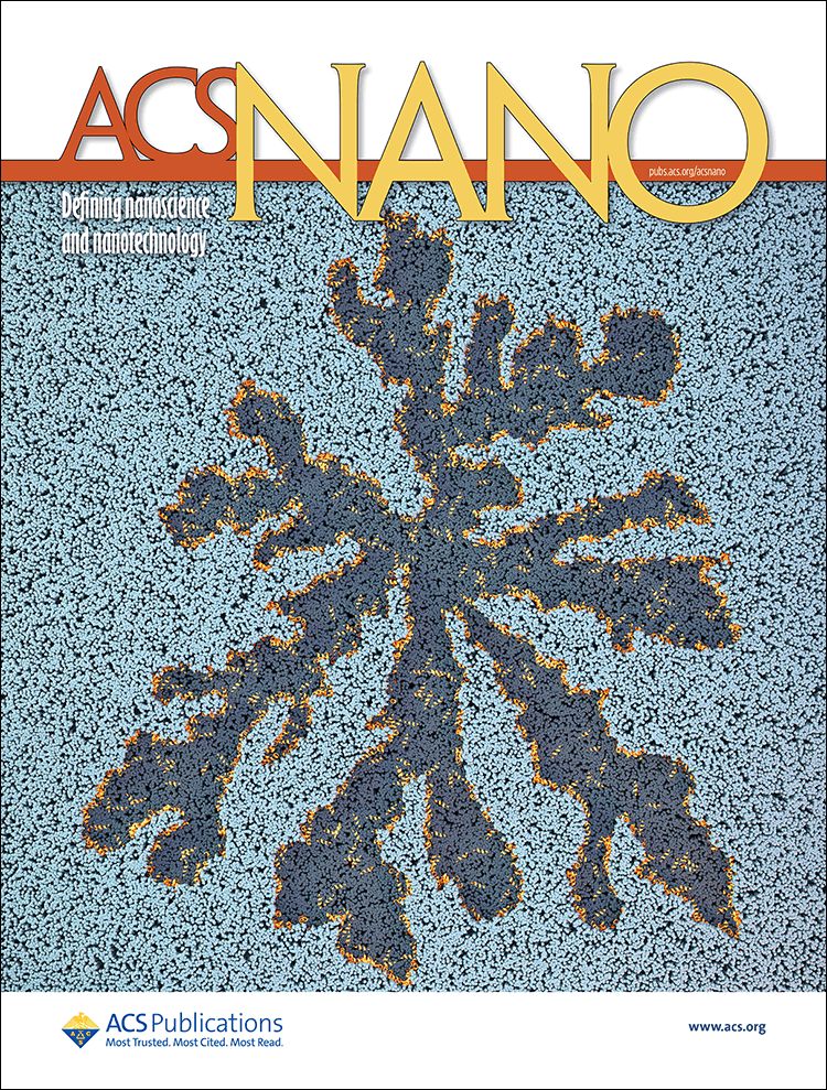 June 2021 cover of ACS Nano featuring research paper ‘Switching Cytolytic Nanopores into Antimicrobial Fractal Ruptures by a Single Side Chain Mutation’ which describes how AI-designed antimicrobial peptides interact with computational models of a cellular membrane.