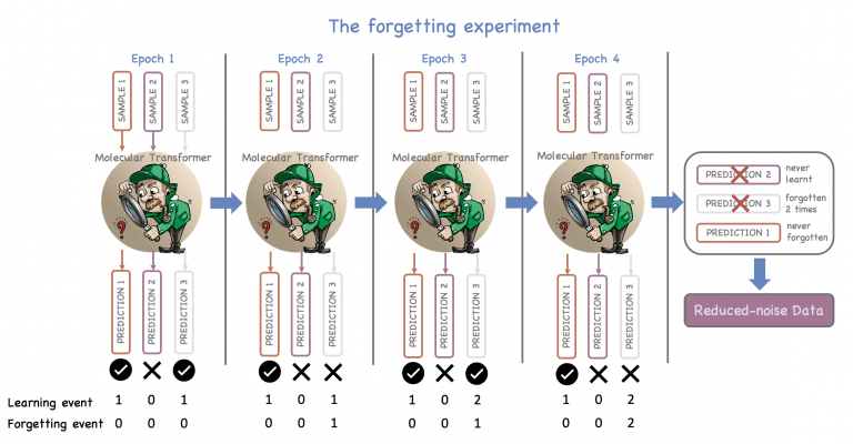 A schematic representation of the forgetting experiment, which presents how information learned and forgotten many times can potentially be noisy and should be discarded from the training set.