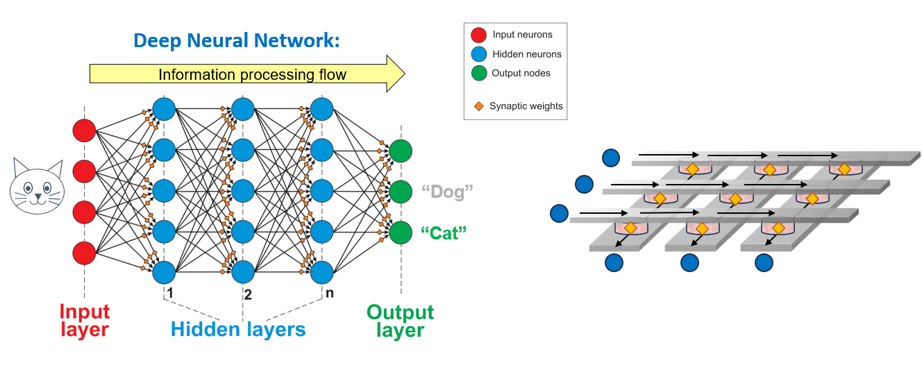 Deep Neural Network architecture and electrical crossbar array.